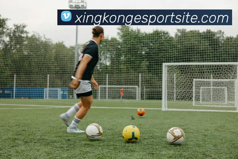 App Interface Preview